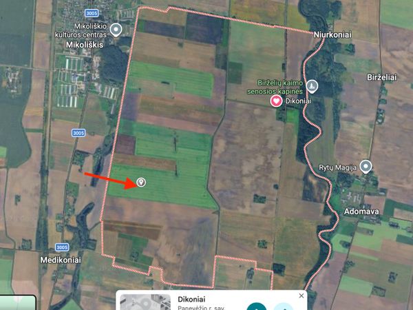 Panevėžio r. sav., Dikoniai