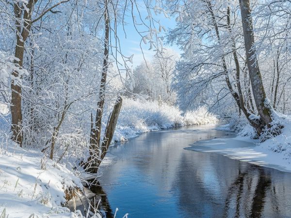 Širvintų r. sav., Viršuliškiai