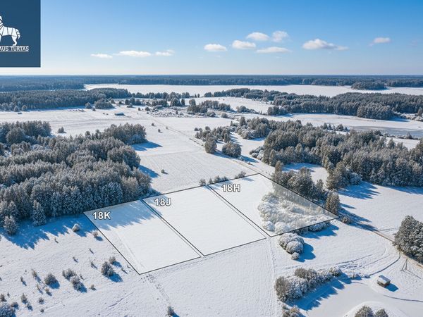 Molėtų r. sav., Arnionys II