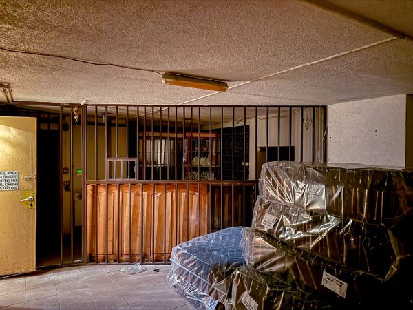 Panevėžys, Klaipėda