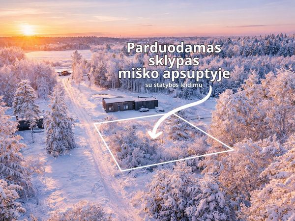 Vilniaus r. sav., Paliepiai