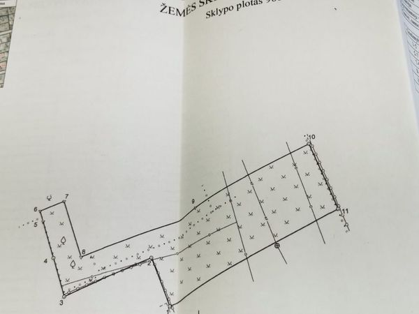 Panevėžio r. sav., Dembava