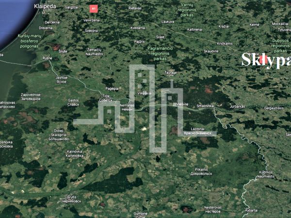 Kretingos r. sav., Plokščiai