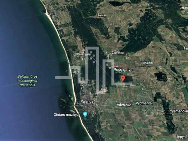 Kretingos r. sav., Kiauleikiai