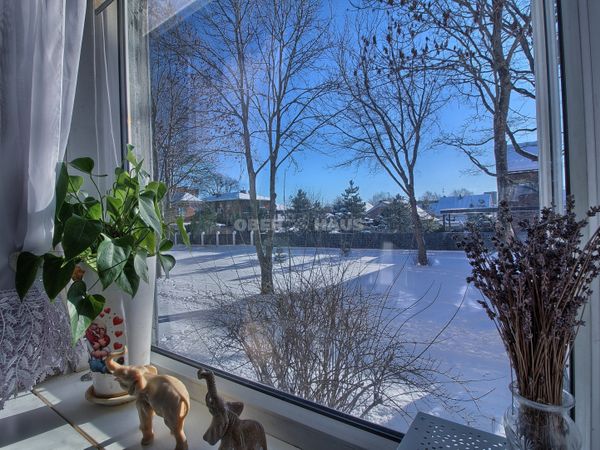 Klaipėda, Žvejybos uostas