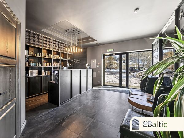 Vilnius, Šnipiškės