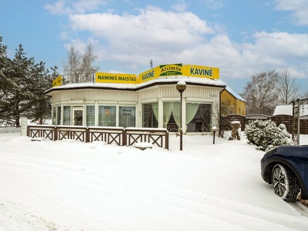 Vilniaus r. sav., Didžioji Riešė