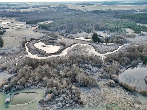 Širvintų r. sav., Jauniūnai