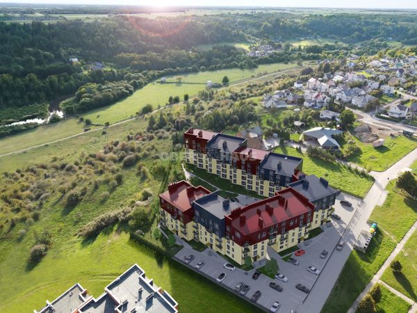 Raseinių r. sav., Ariogala