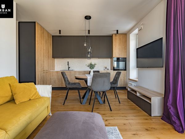 Vilnius, Šnipiškės