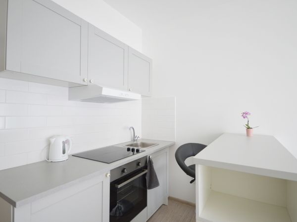 Vilnius, Naujamiestis