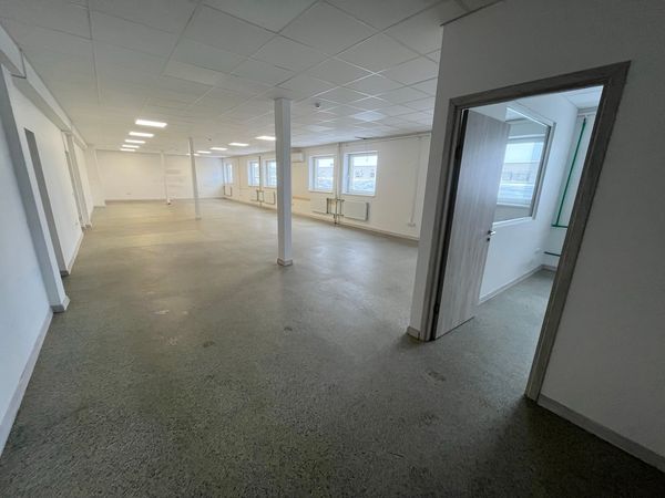 Vilnius, Šnipiškės