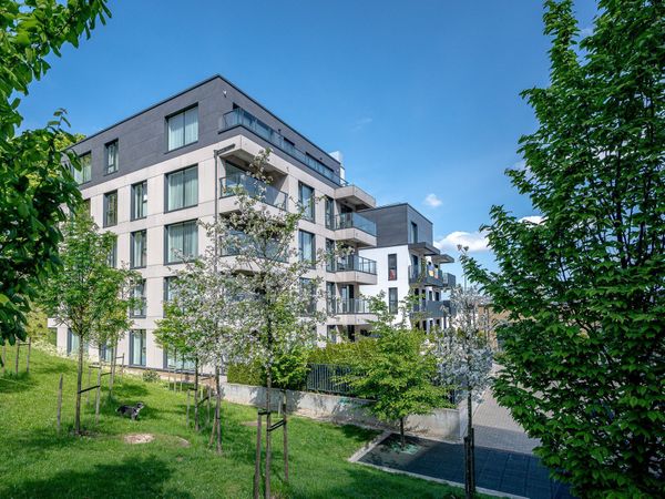 Vilnius, Naujamiestis