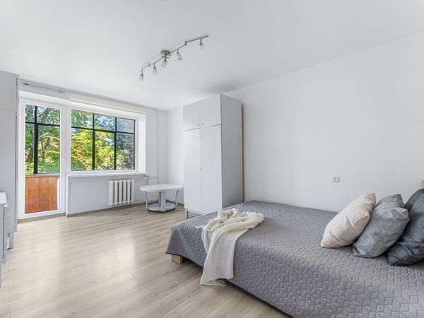 Vilnius, Šnipiškės