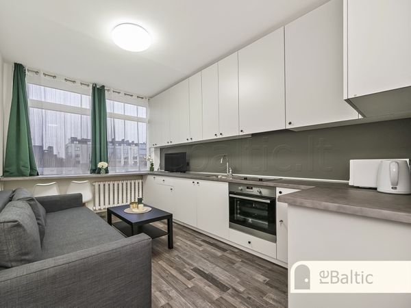 Vilnius, Naujamiestis