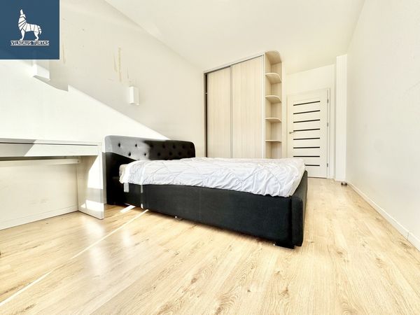 Vilnius, Šnipiškės