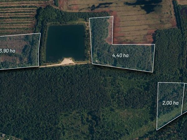 Klaipėdos r. sav., Dauparai