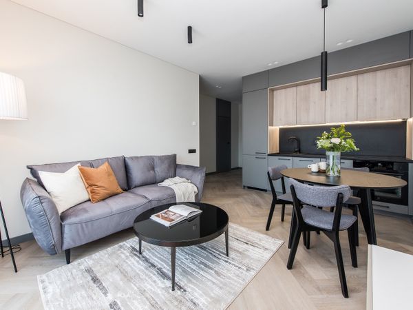 Vilnius, Šnipiškės