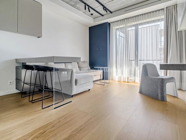 Vilnius, Šnipiškės