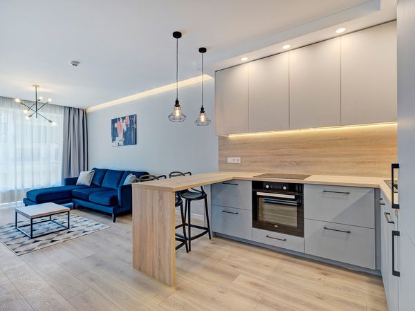 Vilnius, Šnipiškės