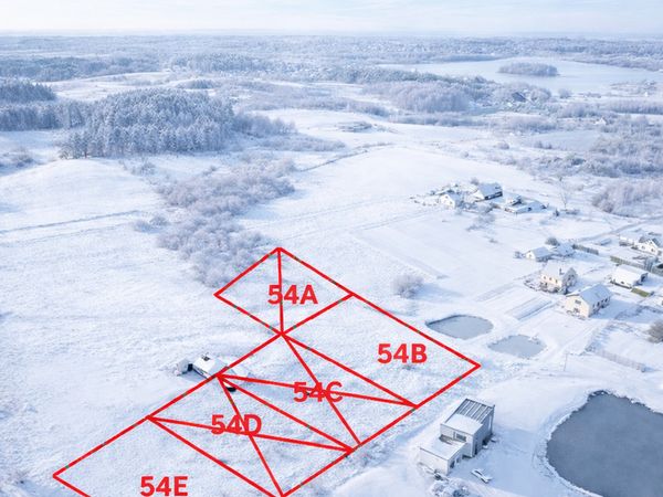 Vilniaus r. sav., Švedai