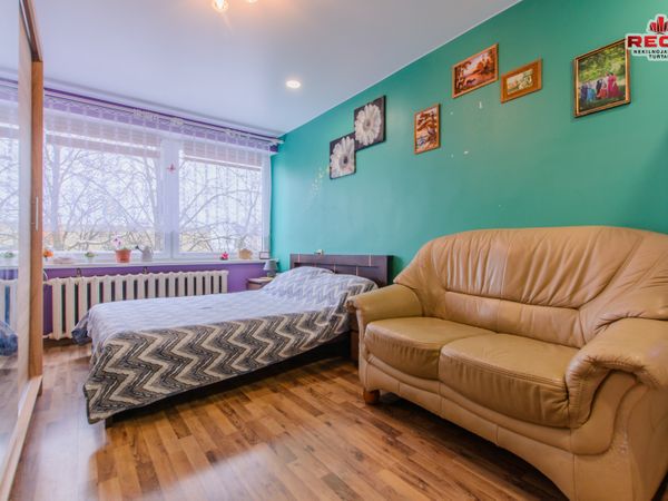 Elektrėnų sav., Vievis