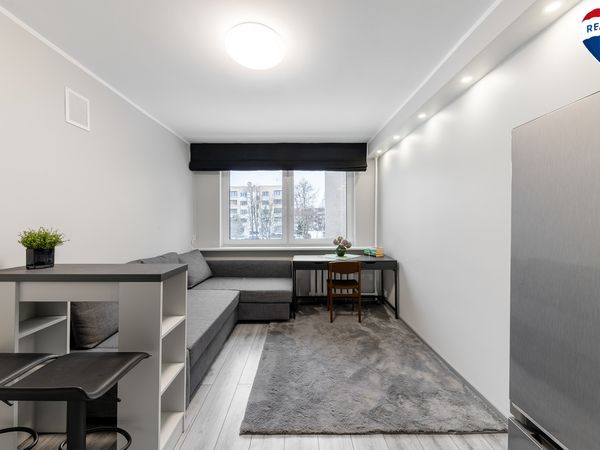 Vilnius, Naujamiestis