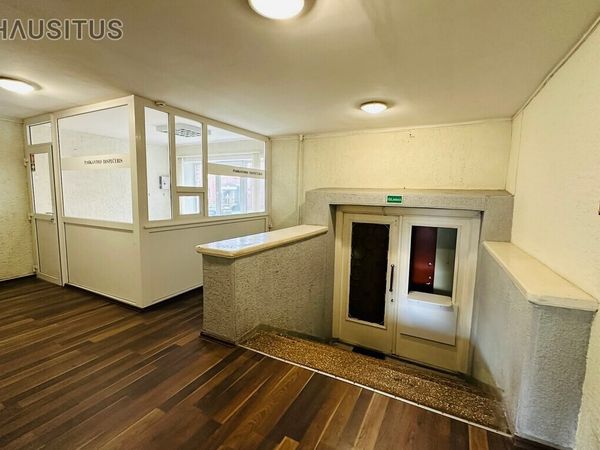 Panevėžys, Centras