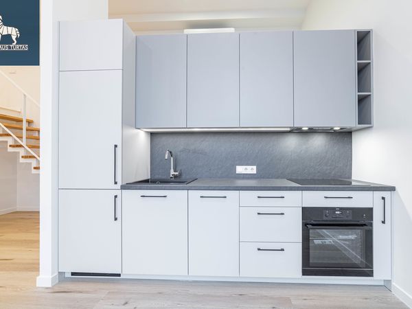 Vilnius, Naujamiestis