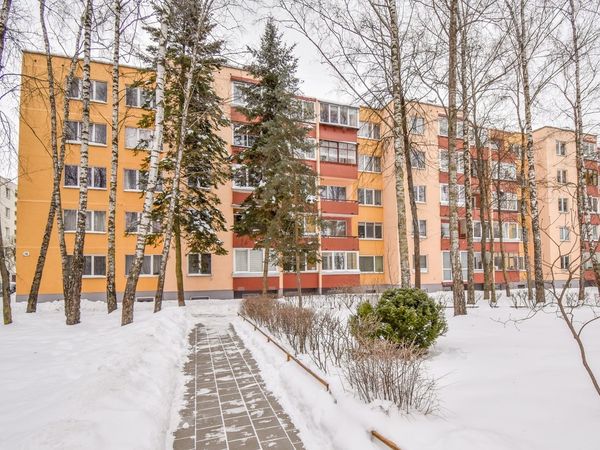 Panevėžys, Klaipėda