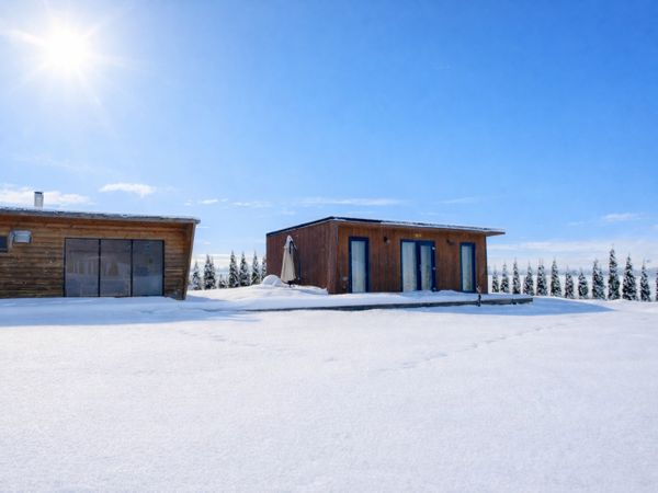 Kauno r. sav., Pagynė