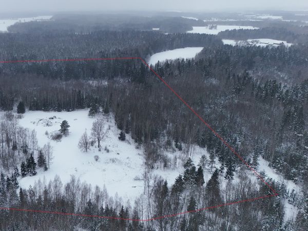 Molėtų r. sav., Janauka