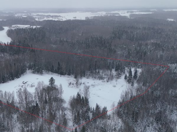 Molėtų r. sav., Molėtai