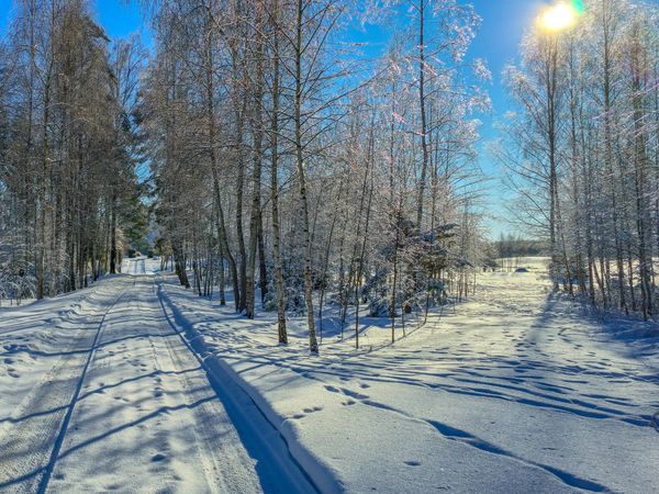 Alytaus r. sav., Balninkai