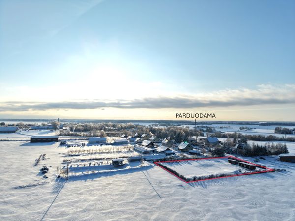 Kauno r. sav., Pagynė