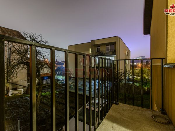 Vilnius, Šnipiškės