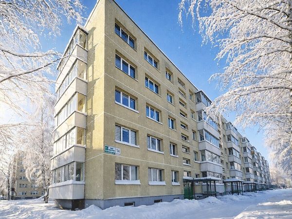 Panevėžys, Tulpės