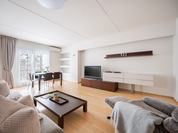 Vilnius, Šnipiškės