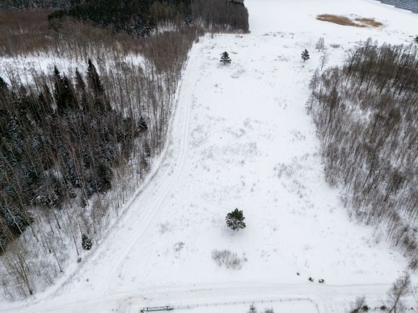 Klaipėdos r. sav., Lėbartai