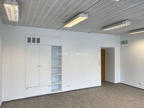 Vilnius, Naujamiestis