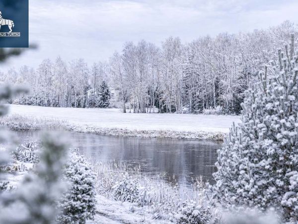 Vilniaus r. sav., Masionys