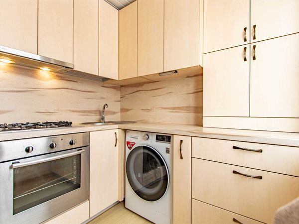 Panevėžys, Tulpės