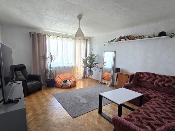 Panevėžys, Centras