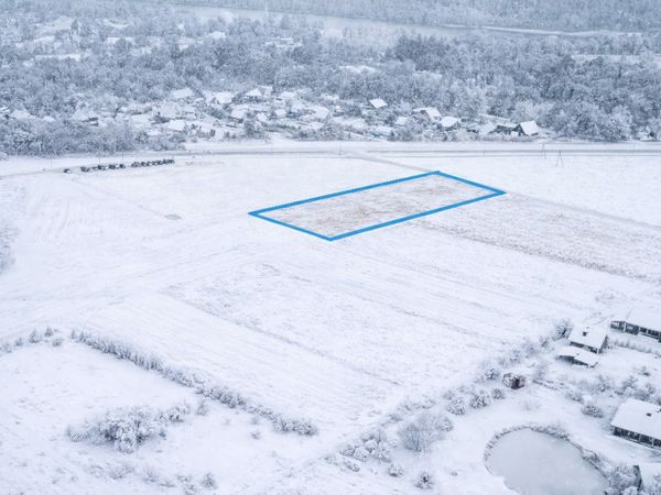 Birštono sav., Birštonas