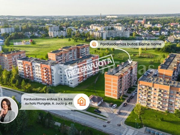 Plungės r. sav., Plungė