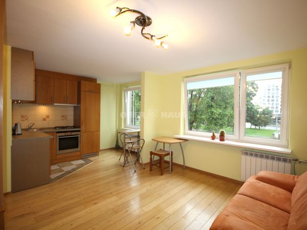 Vilnius, Naujamiestis