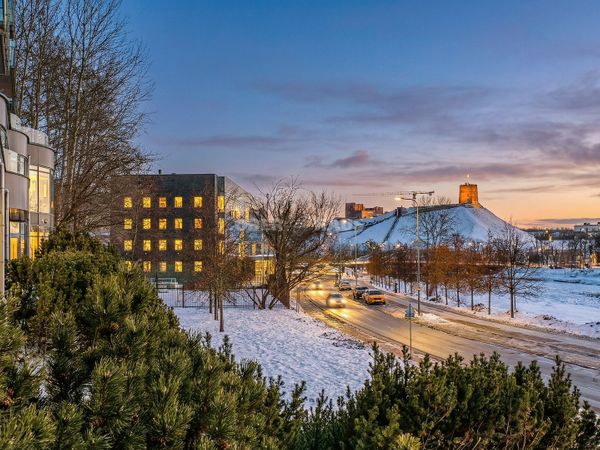 Vilnius, Šnipiškės