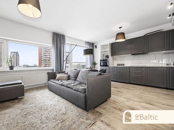 Vilnius, Šnipiškės