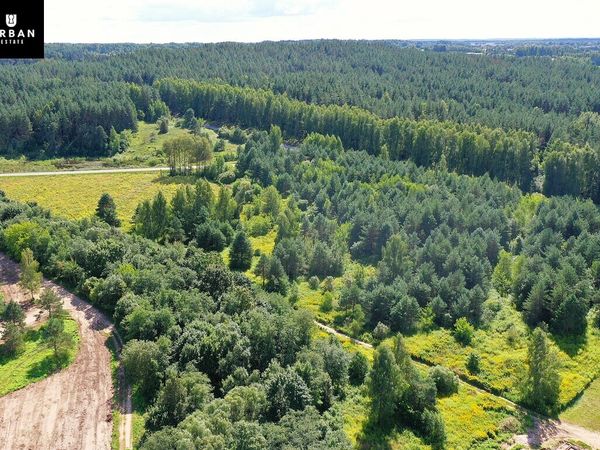 Anykščių r. sav., Anykščiai