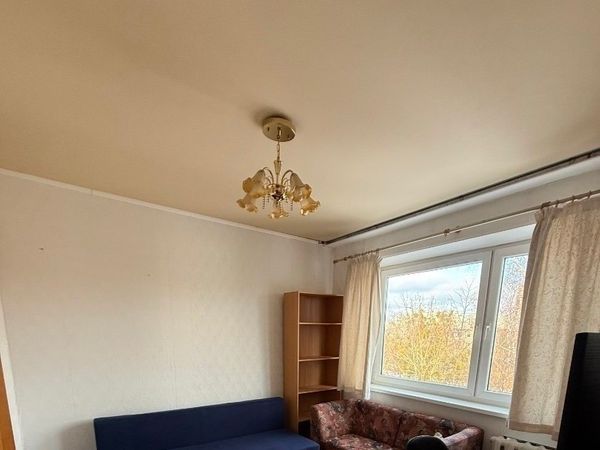 Kaunas, Žaliakalnis